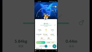 10週年背卡二星公異色維羅博士的助手皮卡丘 #pokemongo #ポケモンgo #寶可夢 #おきがえピカチュウ #CosplayPikachu #色違い #shinypokemon #スペシャル背景