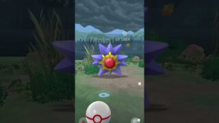スターミー100%こい‼️ #ポケモン #ポケモンgo