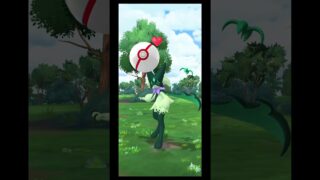 1度目で色違いキター♡#ポケモンgo