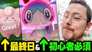 初心者はメッソン頑張ろう！ピッピ最終日ガチ追い込み！BOX整理も絶対にやろうな！【ポケモンGO】