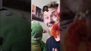 Charmander Made Us Pokémon Go ANGRY! #charmander #ヒトカゲ #pokemon