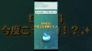【DAY11】ついにおこうから色違い！？✨ おさんぽおこう生活