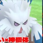 【暴走】色違い&神個体メガユキノオー爆誕！！優秀すぎる技範囲で無双となるか！！【GBL】【スーパーリーグ】