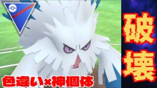【暴走】色違い&神個体メガユキノオー爆誕！！優秀すぎる技範囲で無双となるか！！【GBL】【スーパーリーグ】