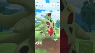 ポケモンGO メガマスターリーグ ゼクロム、色メロエッタ(ボイスフォルム)、メガバンギラス