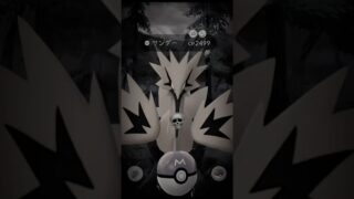 ポケモンGO     迷った結果ハイパーリーグで使いたくて、果たして使ったボールは？