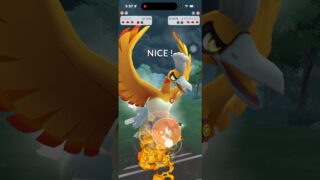 #ポケモンGO #マスターリーグ　初手ミラー🪞