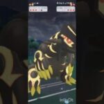 ポケモンGOバトルリーグ　メガマスターリーグ 12
