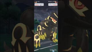 ポケモンGOバトルリーグ　メガマスターリーグ 12