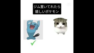 嬉しぃ#ポケモンGO#ジム#ポケコイン#ジム置き