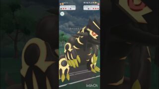 ポケモンGOバトルリーグ　メガマスターリーグ 35