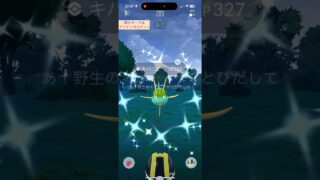 【難易度中】色違いキバニア極小サークルクリティカルゲット【ポケモンGO】