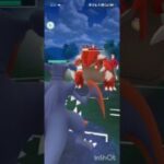 ポケモンGOバトルリーグ　メガマスターリーグ 52