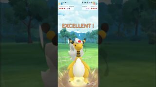 ポケモンGOバトルリーグ　メガマスターリーグ 54