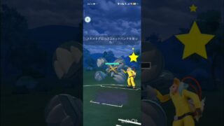 ポケモンGOバトルリーグ　メガマスターリーグ 58