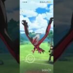 ポケモンGOバトルリーグ　メガマスターリーグ 67