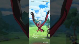 ポケモンGOバトルリーグ　メガマスターリーグ 67