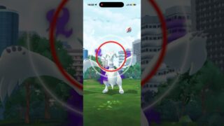 ポケモンGO　VSサカキ(ペルシアン/カイリキー/レシラム) 2026/09/30