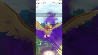 【レトロカップ】ブレバブッパ！ #ポケモンGO #gbl #pokemongo #スーパーリーグ #ピジョット #ポケモン