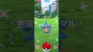 ポケモンGO 色違いフカマル出現！ #ポケモン #pokémon #pokemongo #ポケモンgo