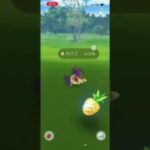 ポケモンGO 色違いシャドウキバゴ出現！リトレーンして色違いオノンド、色違いオノノクスへ進化！ #ポケモン #pokémon #pokemongo #ポケモンgo