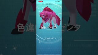 ポケモンGO 色違いザマゼンタ出現！ #ポケモン #pokémon #pokemongo #ポケモンgo