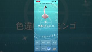 ポケモンGO 色違いカラミンゴ出現！ #ポケモン #pokémon #pokemongo #ポケモンgo