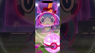 ポケモンGOエクセレントスロー　ダイマックスメッソン #pokemongo #excellent #ポケモンgo #pokemon #ポケモン