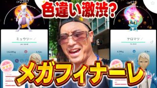 【ポケモンGO】メガフィナーレイベント色違い率おかしくないか？100%背景ミュウツーに100%背景ケロマツ！！しかし色違いが全然出ない！