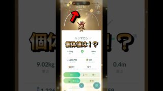 【ポケモンGO】この個体値は！？色違いゲッコウガと色違いハリマロンのカロス御三家同士をキラ交換してみたらまさかの個体値100だった件！#ポケモンgo #ポケモン #shorts