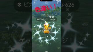 【ポケモンGO】チャンピオンシップスピカチュウの色違い！#ポケモンgo