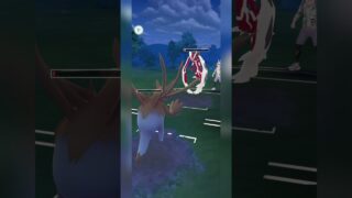【マスターリーグ】ミュウツー以外にはシールドを使わない！【ポケモンGO】【バトルリーグ】#shorts #ポケモンgo #goバトルリーグ #gbl #マスターリーグ #pokemongo