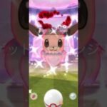 【Pokémon GO】 Shiny Eevee GET✨