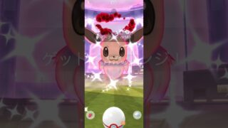 【Pokémon GO】 Shiny Eevee GET✨