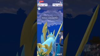 Shadow Reshiram nearly one shots Zacian for the win
