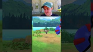 Shiny Hunting Phantump Catch Mastery Event In Pokemon Go!  #pokemongo #hundo