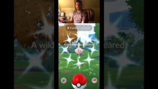 WE CAUGHT SHINY FLAMIGO! POKÉMON GO MEGA SQUADS EVENT 2026!