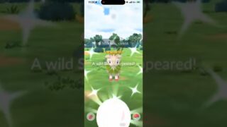 ✨WOW! I Didn’t Expect THIS Shiny Pokemon LIVE on Stream in Pokemon Go!✨ #shorts #pokemon
