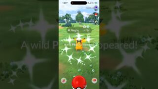 ✨YES!!! Shiny Captain Hat Pikachu CAUGHT in Pokemon Go!✨ #shorts #pokemon