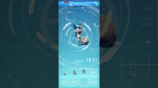 #ポケモンgo #クスネ #色違い #色違いポケモン #ポケットモンスター #pokemongo #pokemon #ポケモン