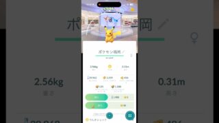 メガフィナーレ結果！ #ポケモンgo #pokemongo #ポケモン #pokemon #ゲーム #ポケモンsv #ポケモンカード #色違い #gbl #ゲーム実況 #ポケットモンスター