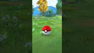 色違い〜🤩 #ポケモンgo #pokemongo #ポケモン #shorts