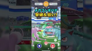 メガフシギバナ戦 色違い・高個体でないかなぁ #ポケモンgo #shorts