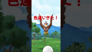 メガムクホークやったよー（色違い⁈） #ポケモン #ポケモンgo #shorts