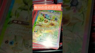 秋分の日のポケカ #ポケモンカード #ポケカ #チャンネル登録お願いします #ポケモン #pokemon #良かったらチャンネル登録してくれると嬉しい