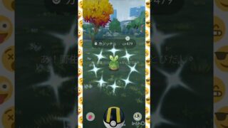 カジッチュ🍎🍏.*･ﾟ🍎.ﾟ･*.‬ ‪🍎🍏.*･ﾟ🍎.ﾟ･*.‬ ‪🍎🍏.*･ﾟ🍎.ﾟ･*.‬‪🍎🍏 #pokemongo #shorts