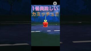 多分1番美味しい‼︎ 見た目に反して高耐久なカミッチュ‼︎ #ポケモンgo #goバトルリーグ #gbl