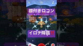 【ハロウィン2026】野生のコスチューム色違いポケモンを探して捕獲する動画 #ポケモンgo #pokemongo #ロコン