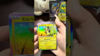 ポケモンカードゲーム　30th CELEBRATION 開封動画
