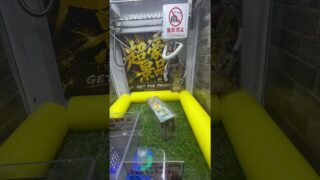 【5万するポケモンカードを全部取ったったwwwwwww #ゲームセンター #クレーンゲーム #ポケモンカード #pokemon